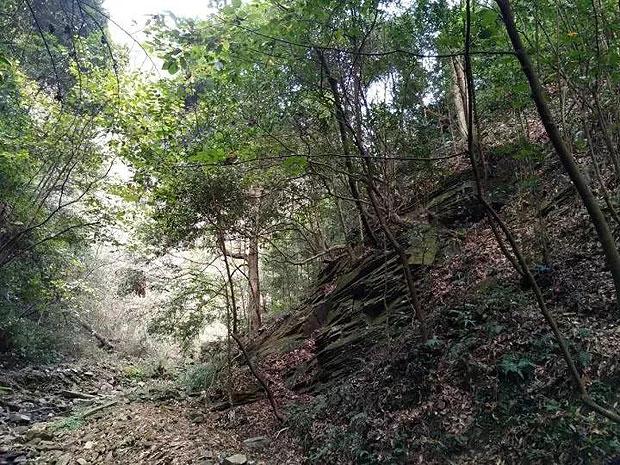 探索岛上的战士们津津有味地品尝着甜美的水果和新鲜的蔬菜缩句?,发现红迪网平台的精彩内容